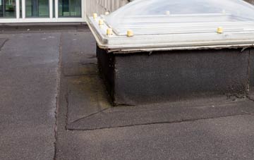 disadvantages of Henny Street flat roofs