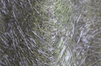 Henny Street fibreglass roof work